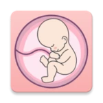 pregnancy tracker week by week android application logo